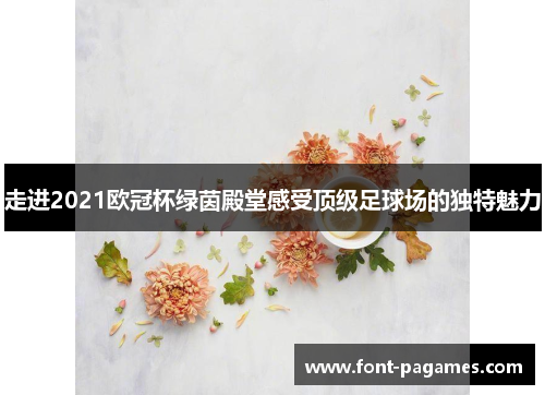 走进2021欧冠杯绿茵殿堂感受顶级足球场的独特魅力