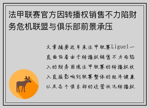 法甲联赛官方因转播权销售不力陷财务危机联盟与俱乐部前景承压