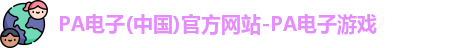 PA电子